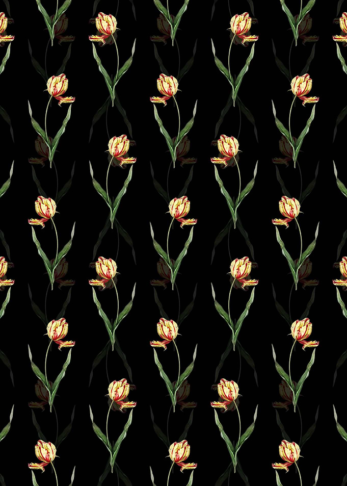 Didiers Tulip Pattern