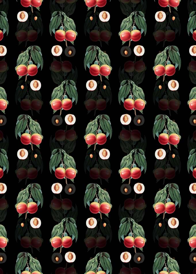 Black Floral Peach Pattern