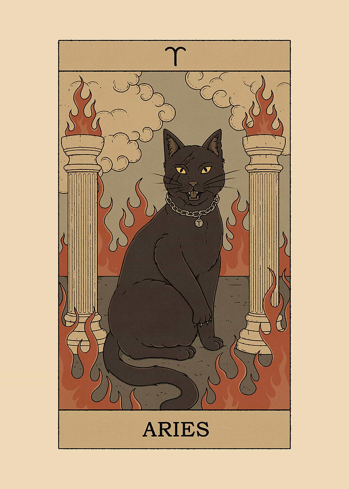 Aries Cat