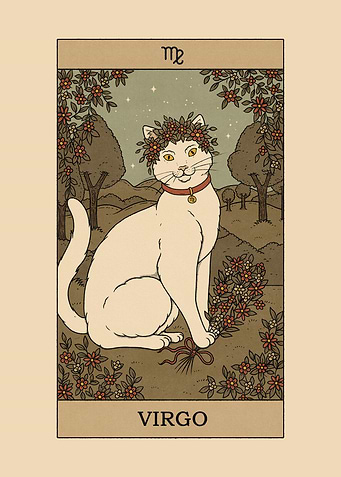 Virgo Cat