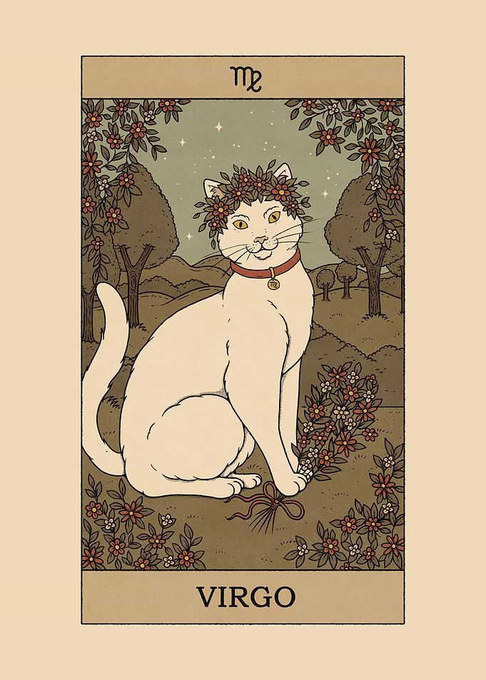 Virgo Cat