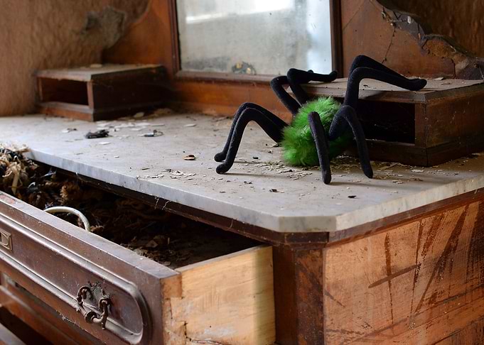 Vain spider