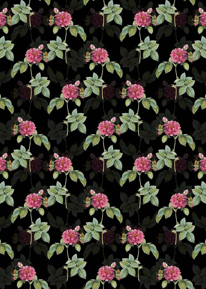 Black Pink Francfort Rose