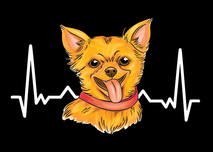 Pet Dog Lovers Dog Owner