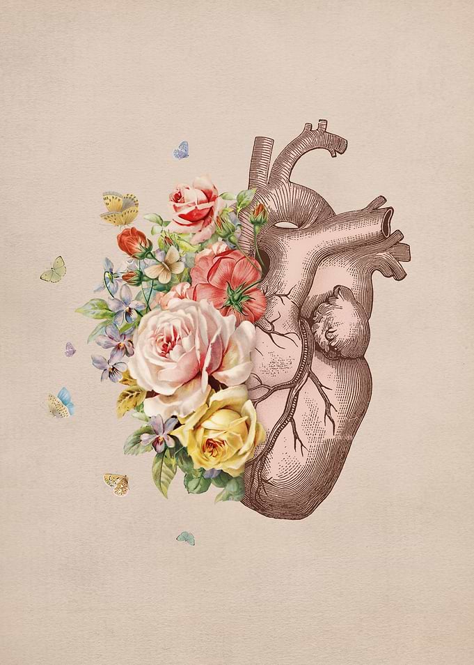 Open your Heart