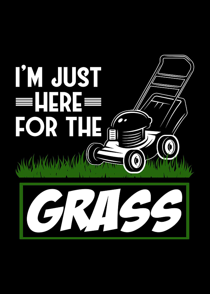 Grass Mowing Lawn Care