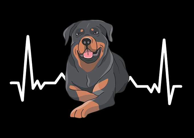 Pet Dog Lovers Dog Owner