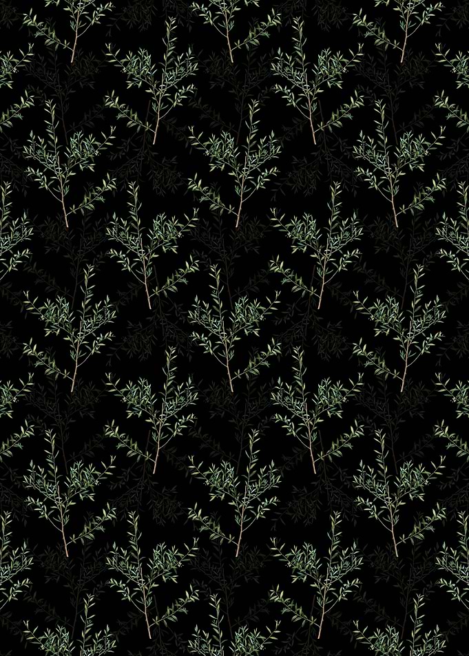 Black Myrtle Dahoon Branch