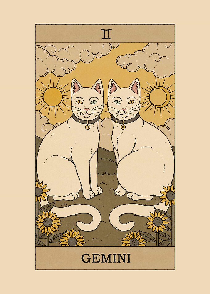 Gemini Cat