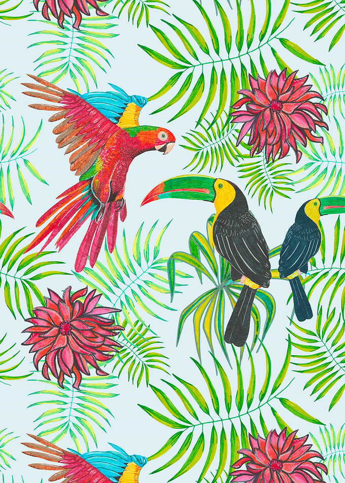 Birds toucan and parrot