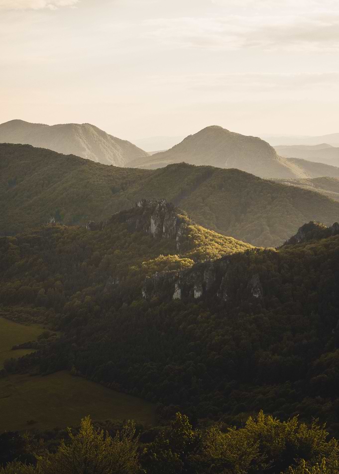 The green landscape