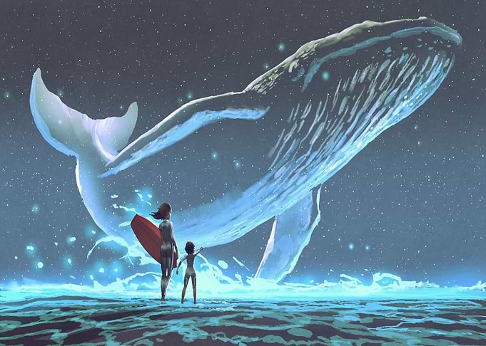 Can a whale fly