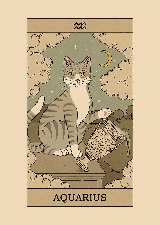 Aquarius Cat