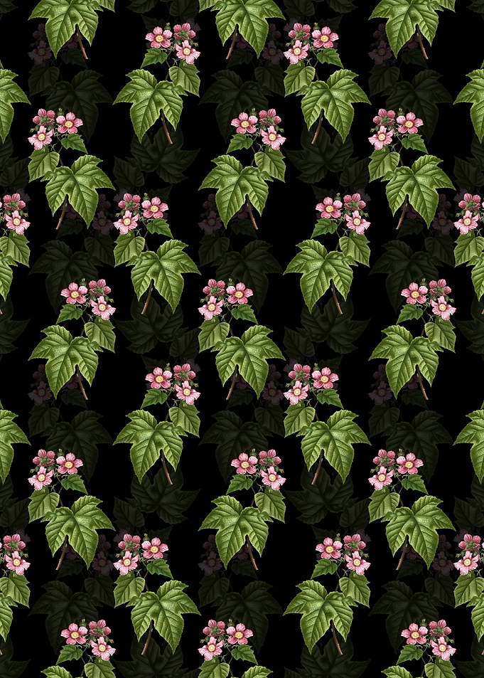 Purple Flowered Raspberry