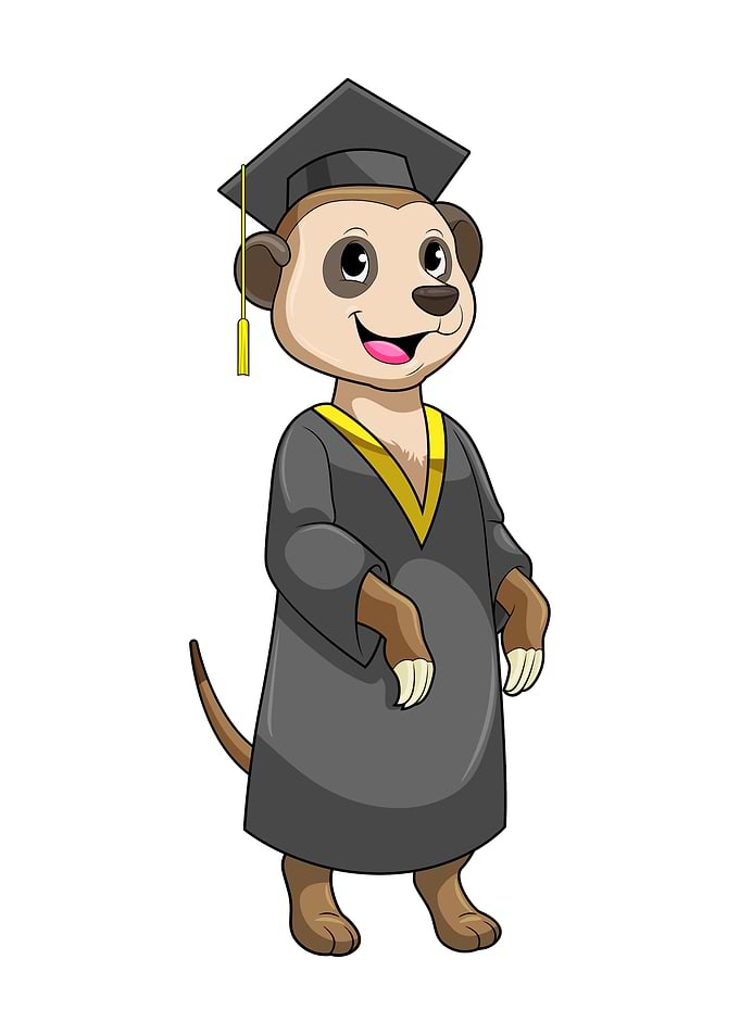 Meerkat Student Diploma