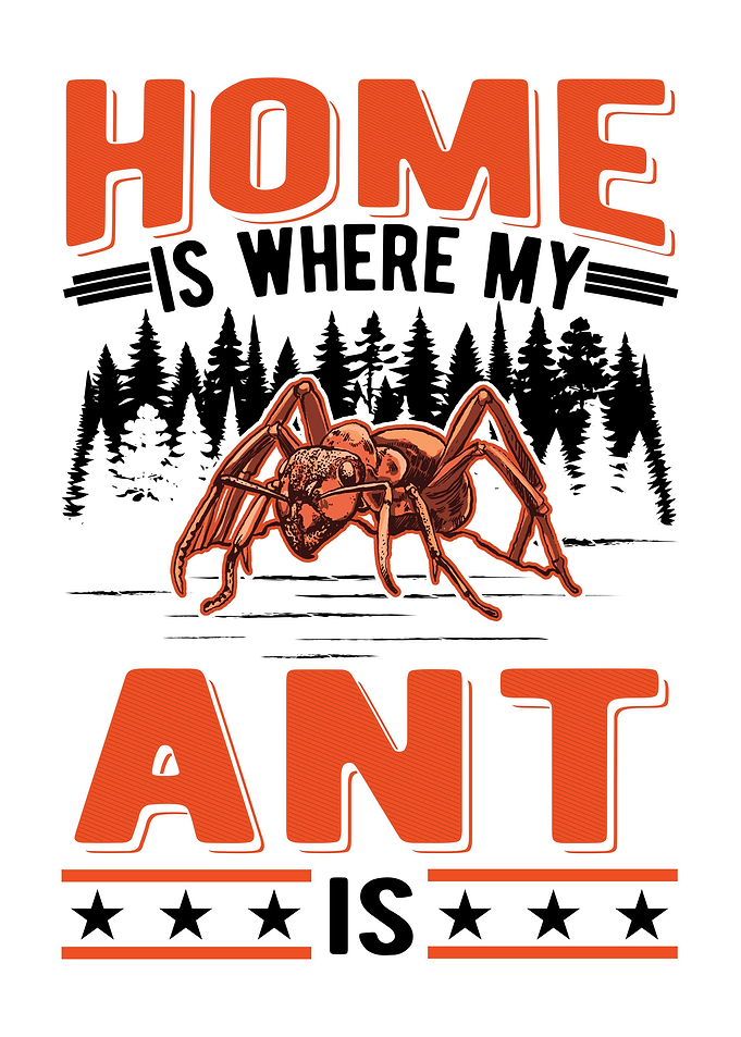 Ant Farm Ant Keeper