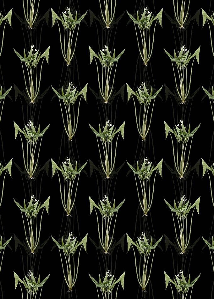 Floral Arrowhead Pattern