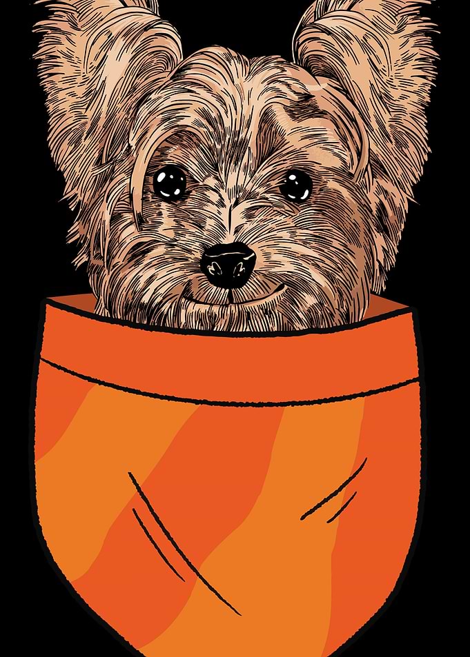 Pet Dog Lovers Dog Owner