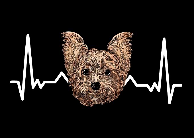 Pet Dog Lovers Dog Owner