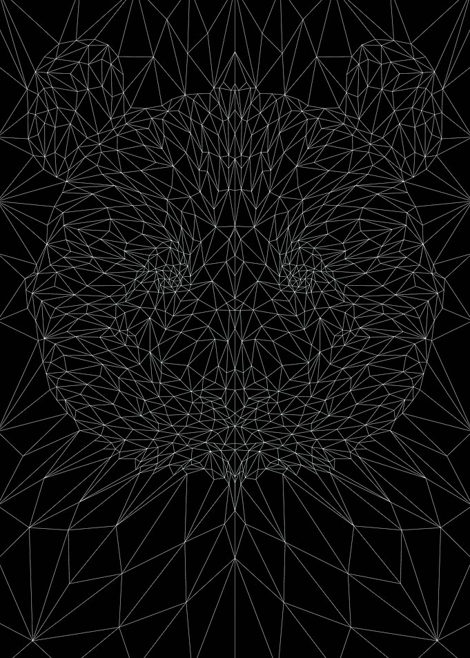 Panda Low Poly Line