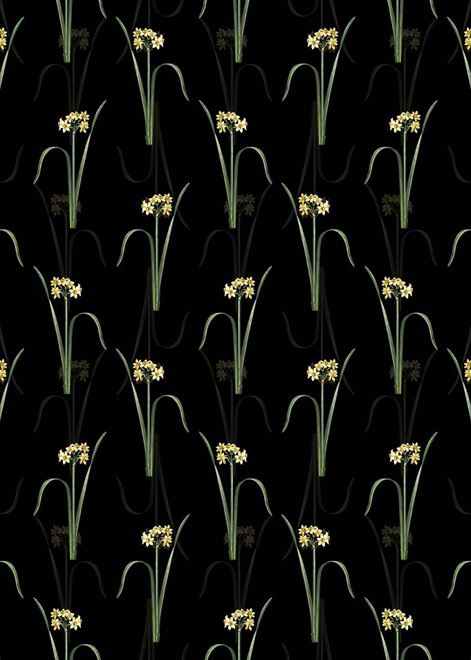 Cowslip Cupped Daffodil