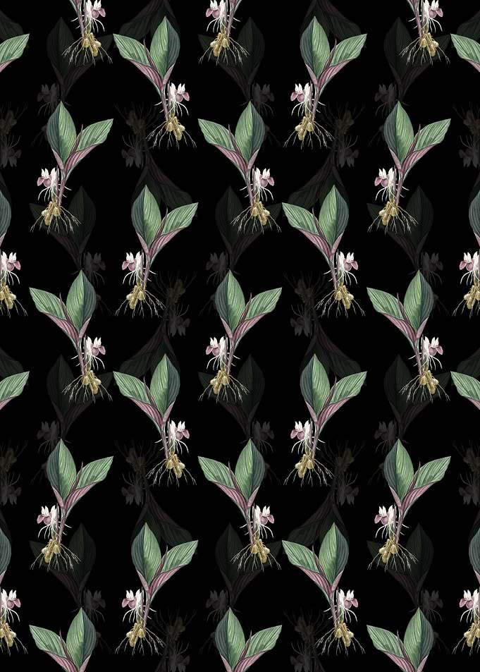 Koemferia Longa Pattern