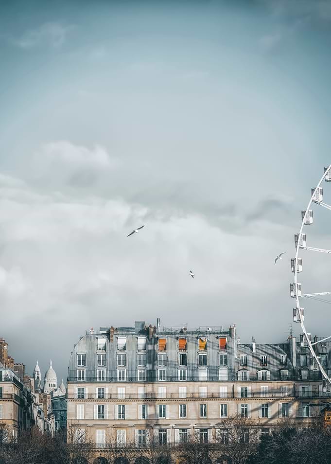 Jardin Des Tuileries