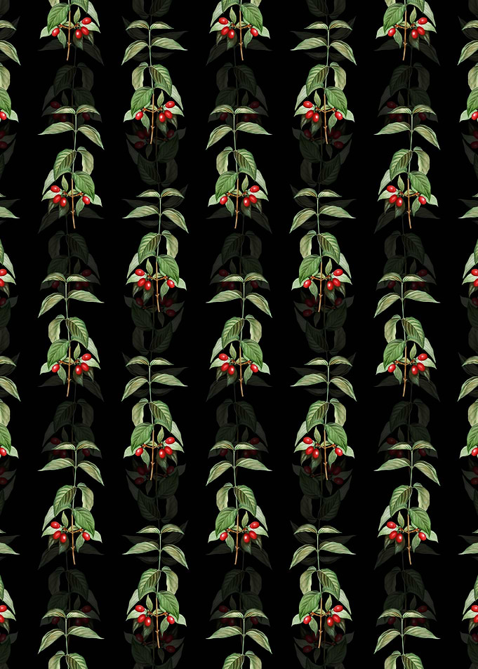 Cornelian Cherry Pattern