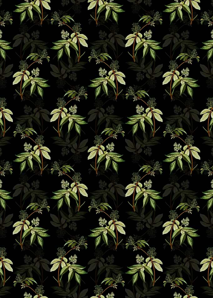 Red Elderberry Pattern