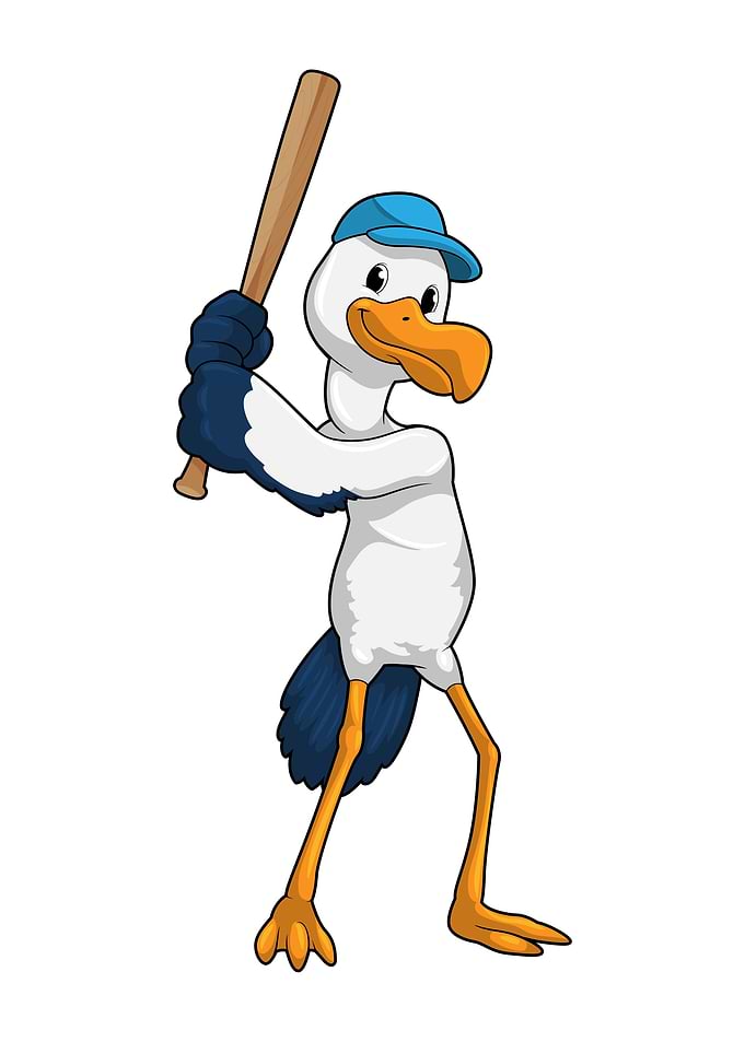 Stork Baseball Sports