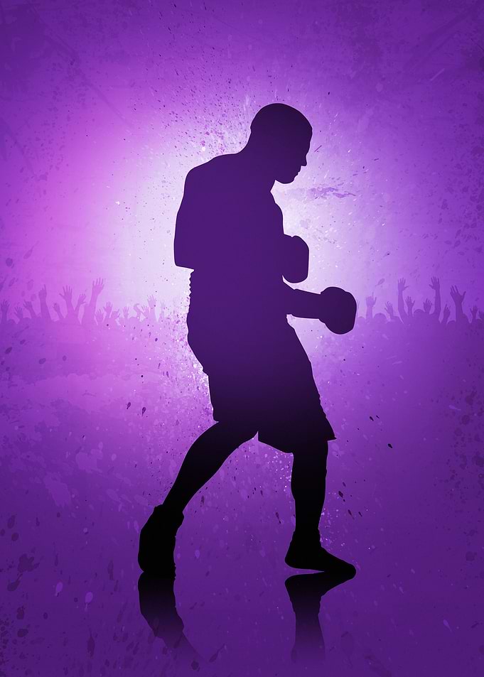 Boxer