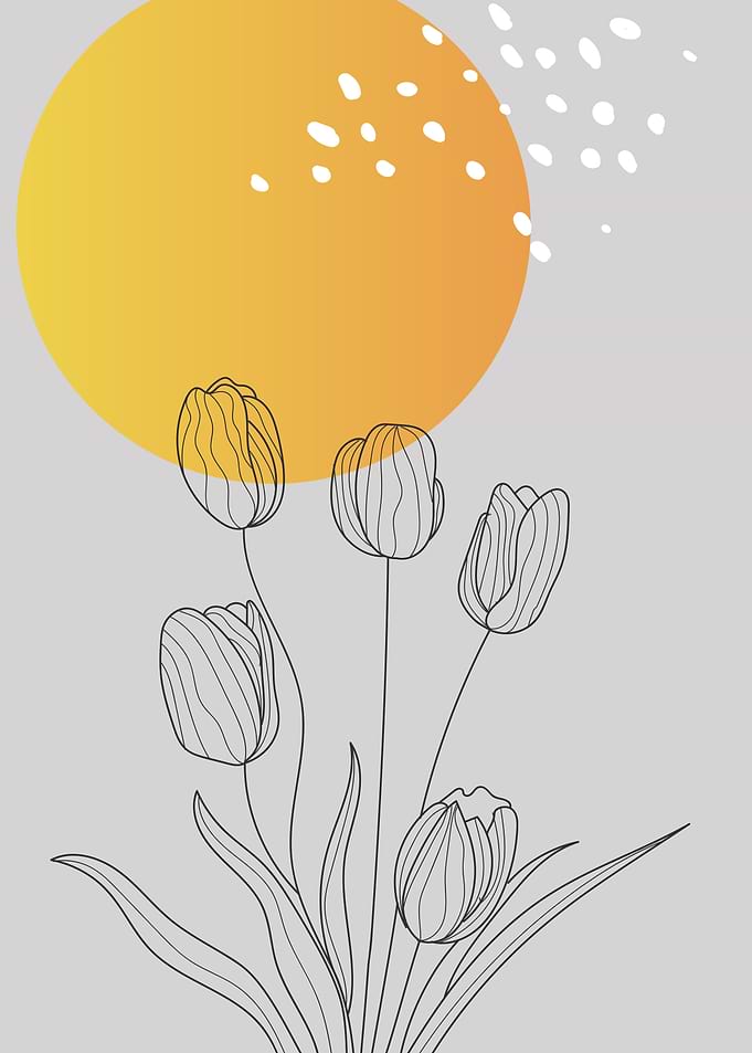 Tulip flowers line drawing