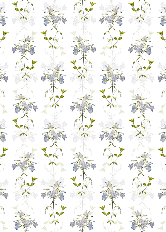 White Floral Phlox Pattern