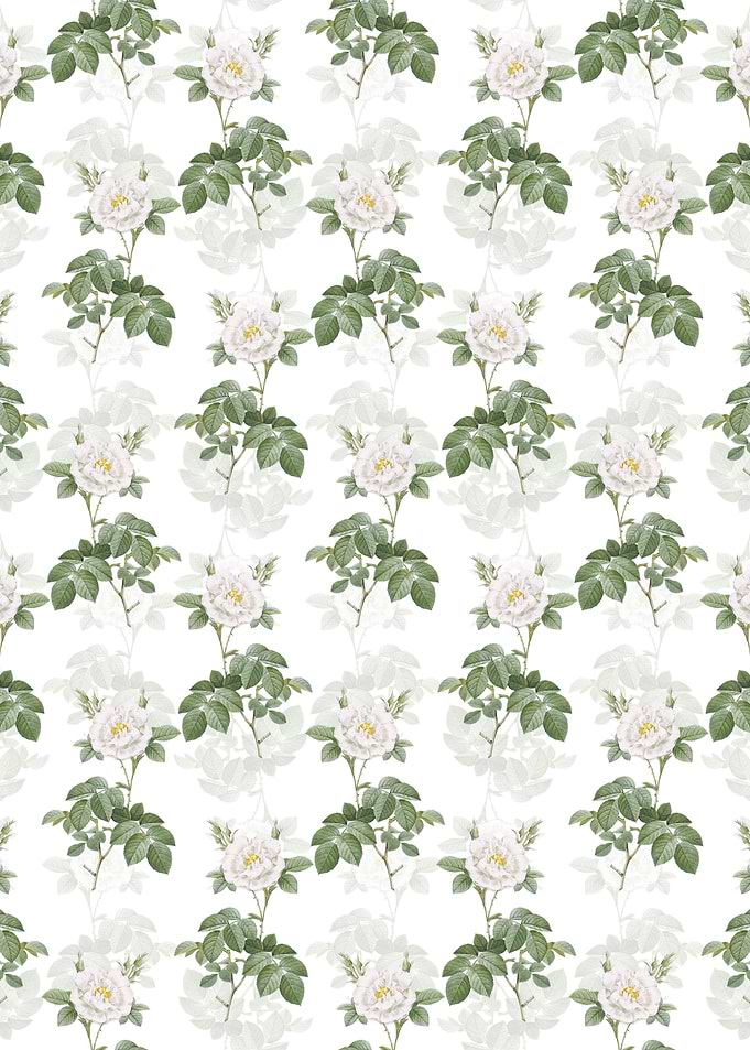 Floral White Rose Pattern