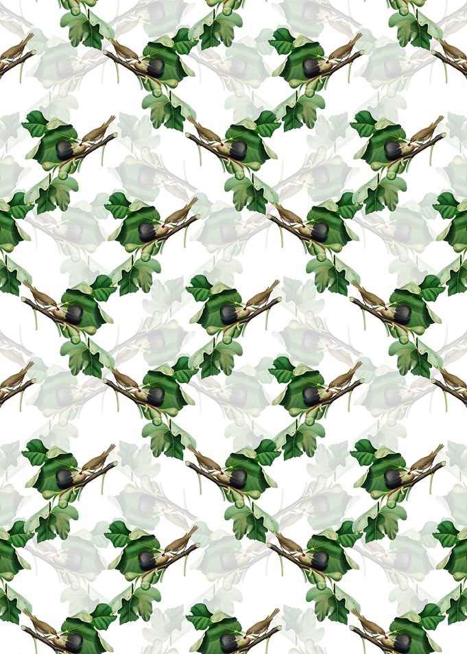 White Fig Branch with Bird