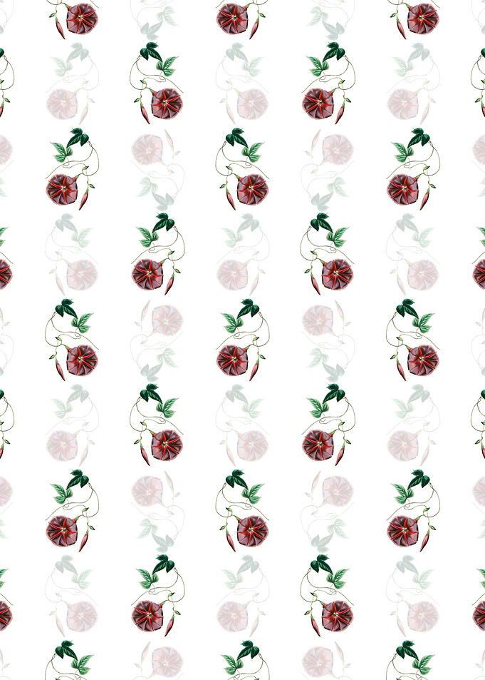 Male Jalap Flower Pattern