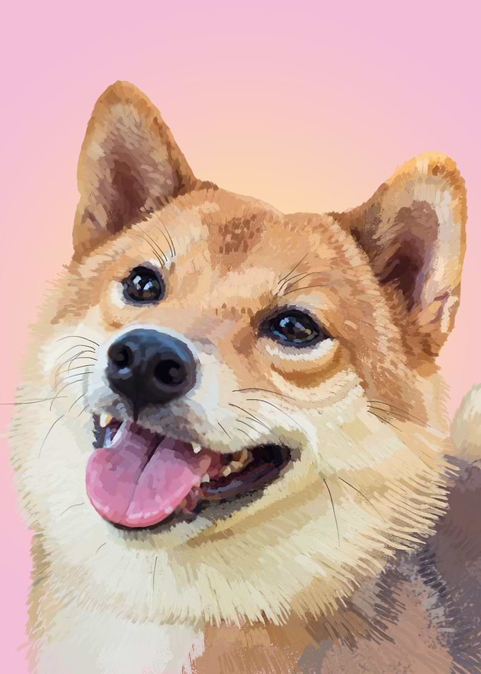 Shiba Inu Dog