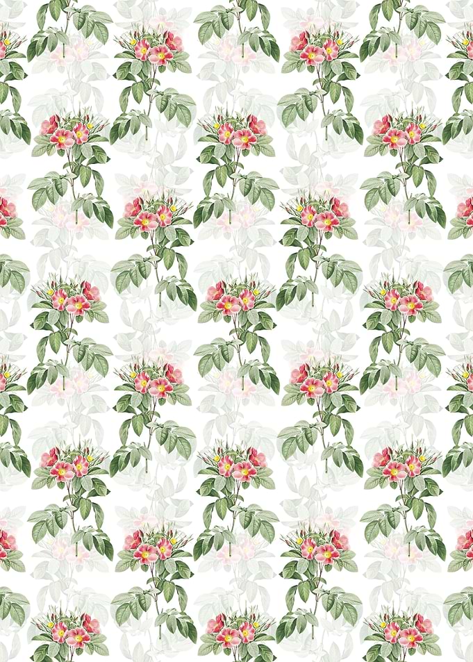 White Pasture Rose Pattern