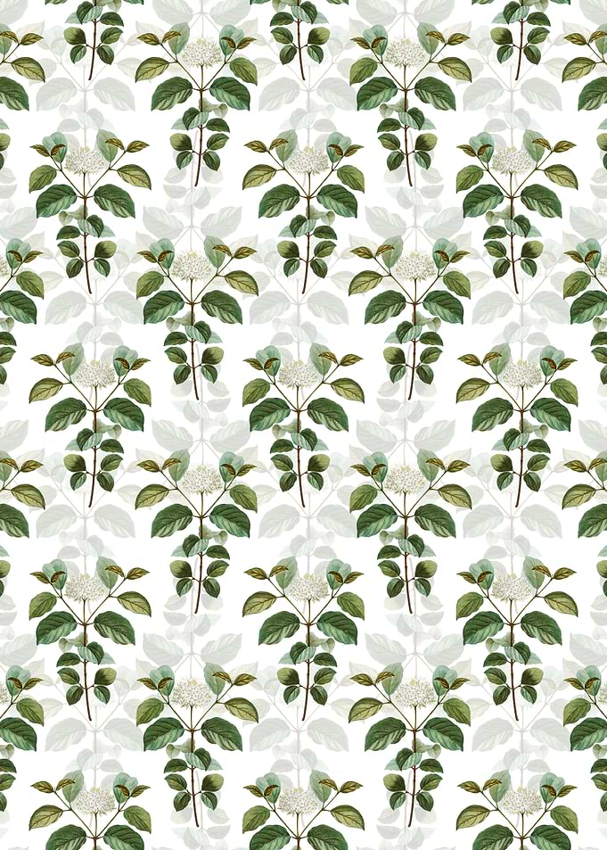 Common Dogwood Pattern