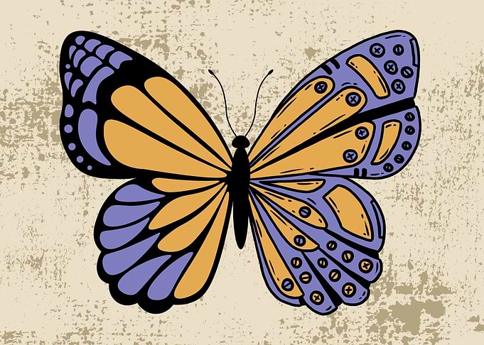Cyborg Butterlfy