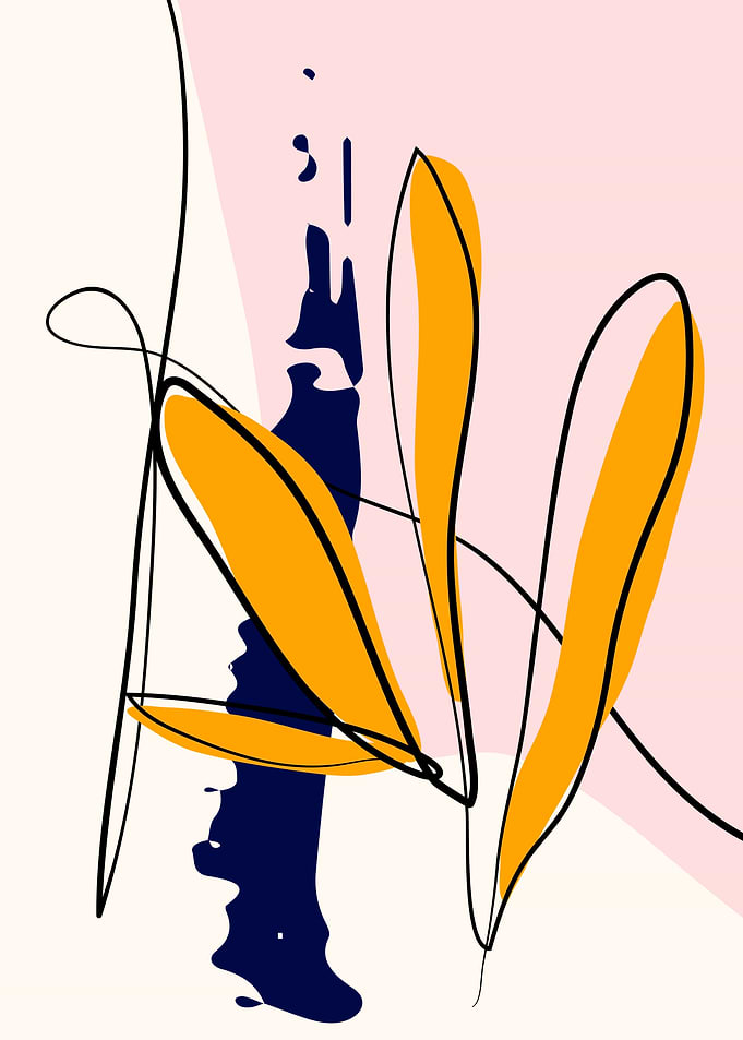 Continuous line drawings