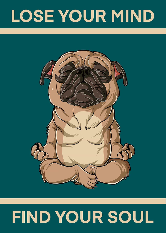 Meditation