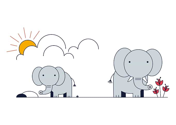ELEPHANTS Animal