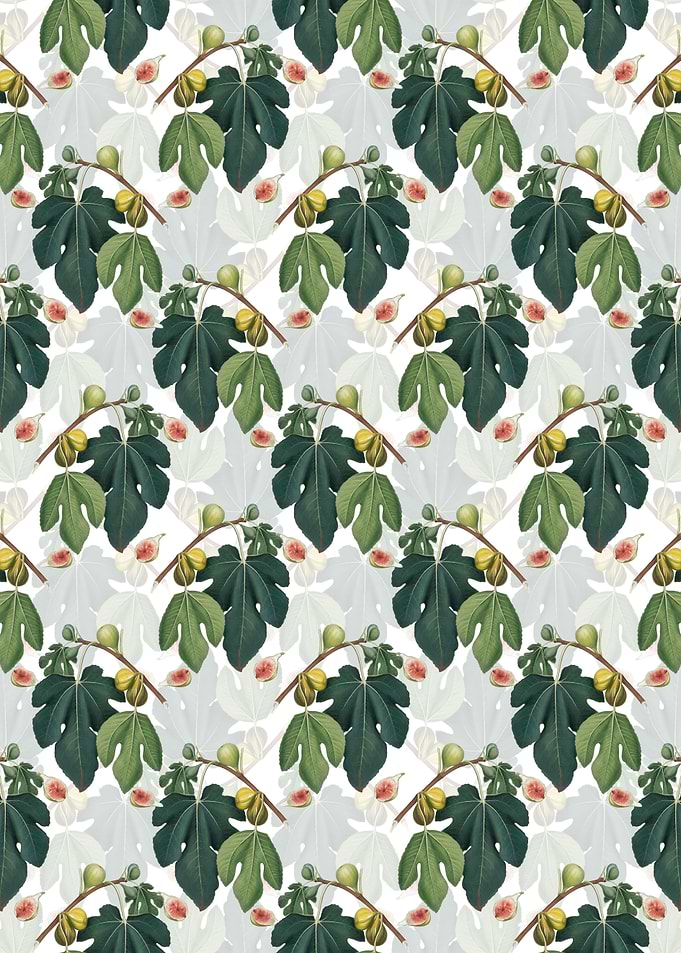 Vintage Floral Fig Pattern
