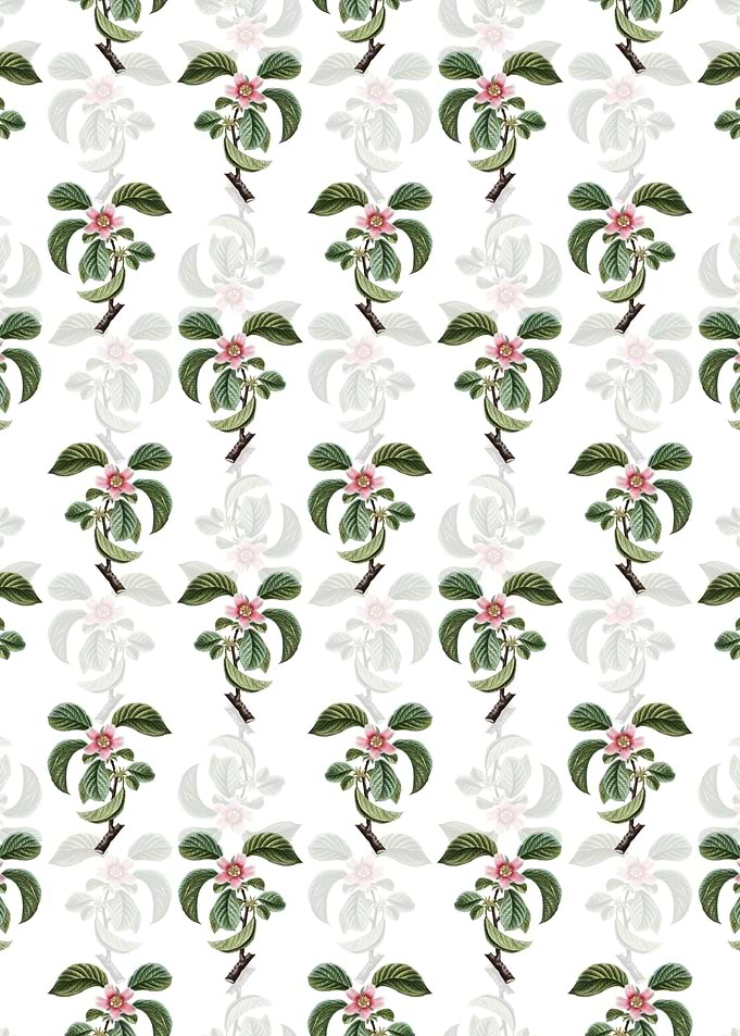 Chinese Quince Pattern