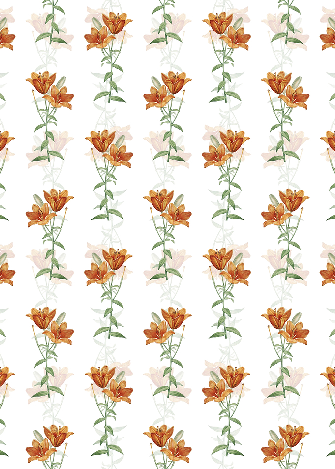 White Orange Bulbous Lily