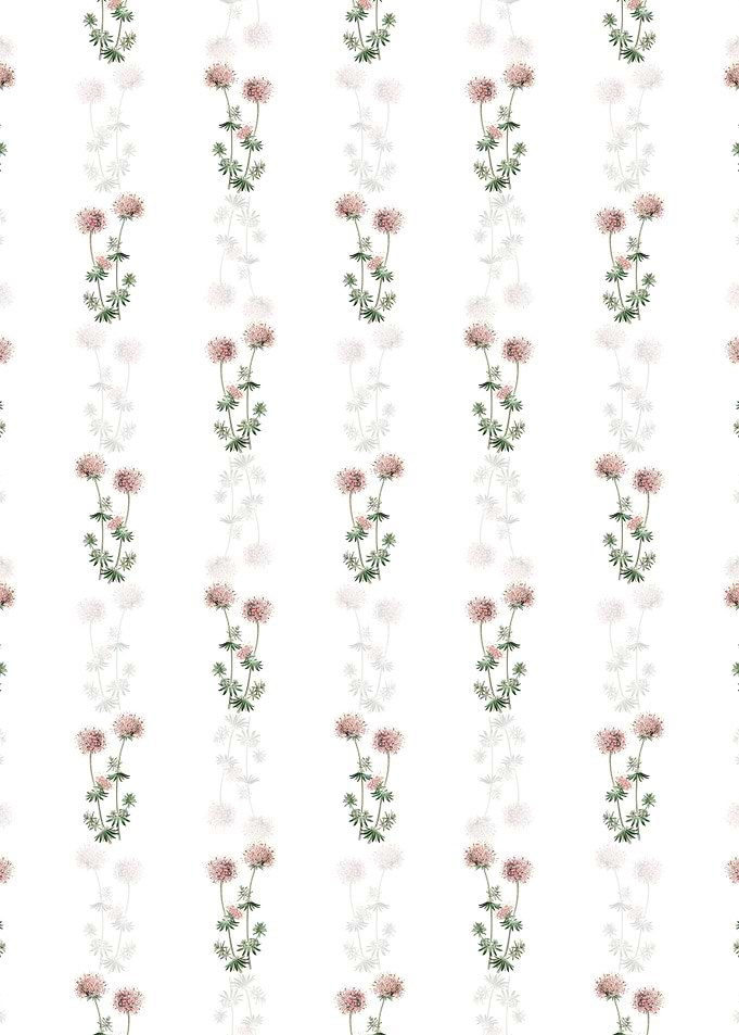 Crucianella Flower Branch