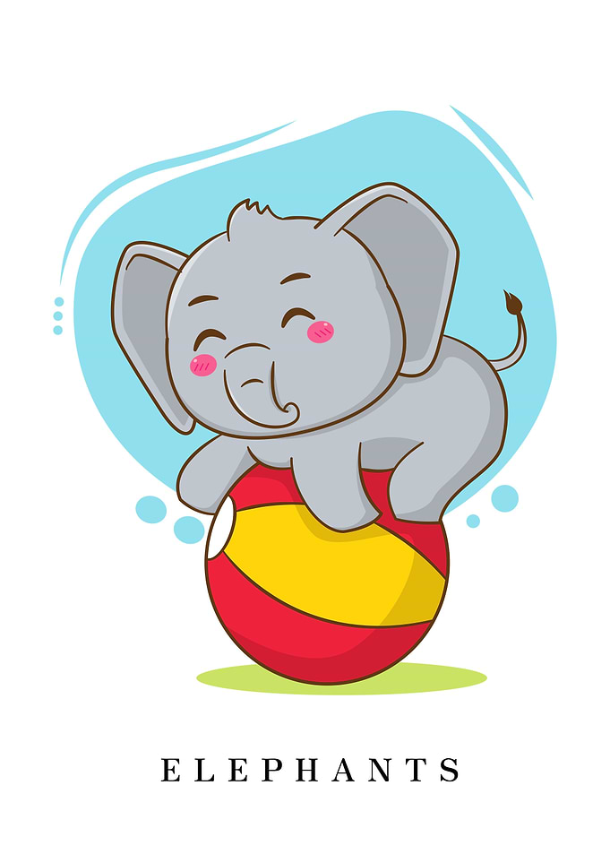 ELEPHANTS Animal
