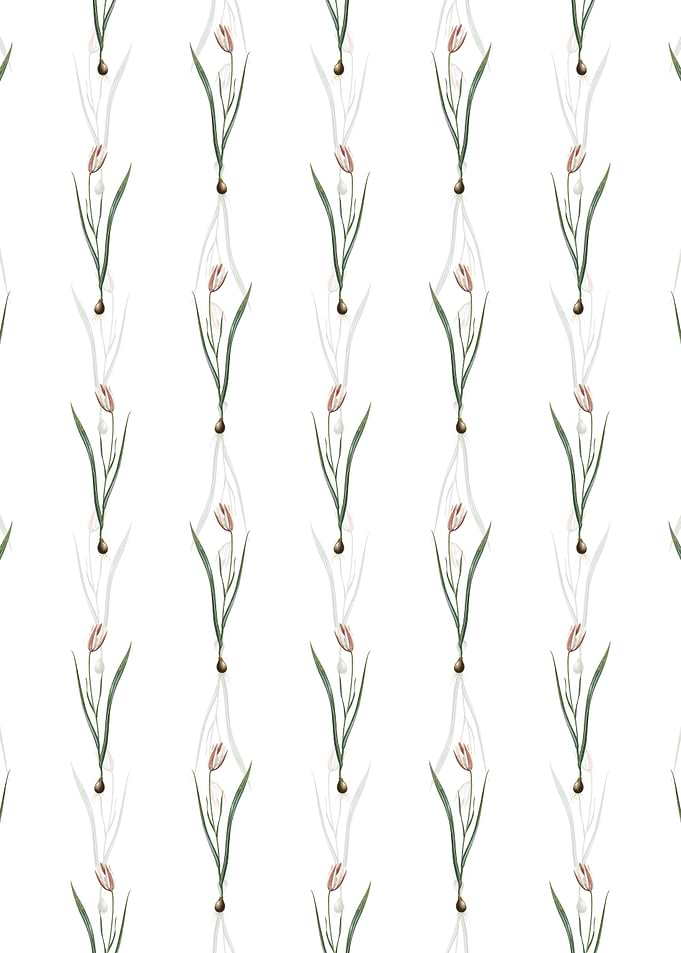 Floral Lady Tulip Pattern
