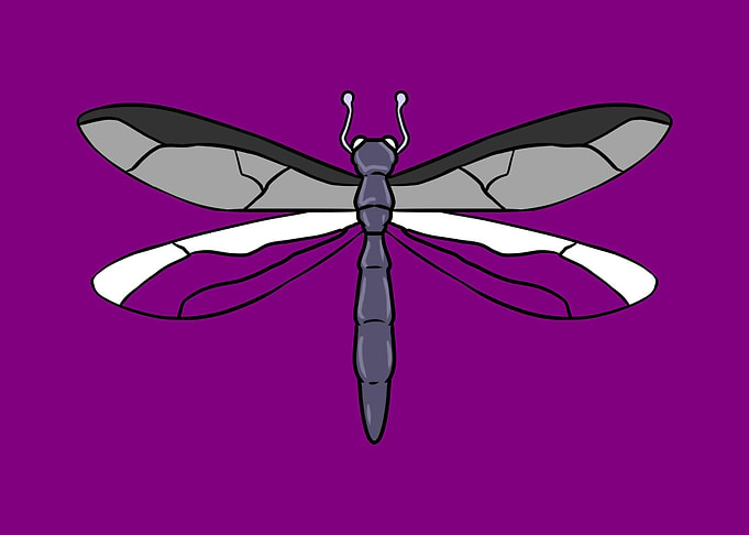 Ace Pride Dragonfly